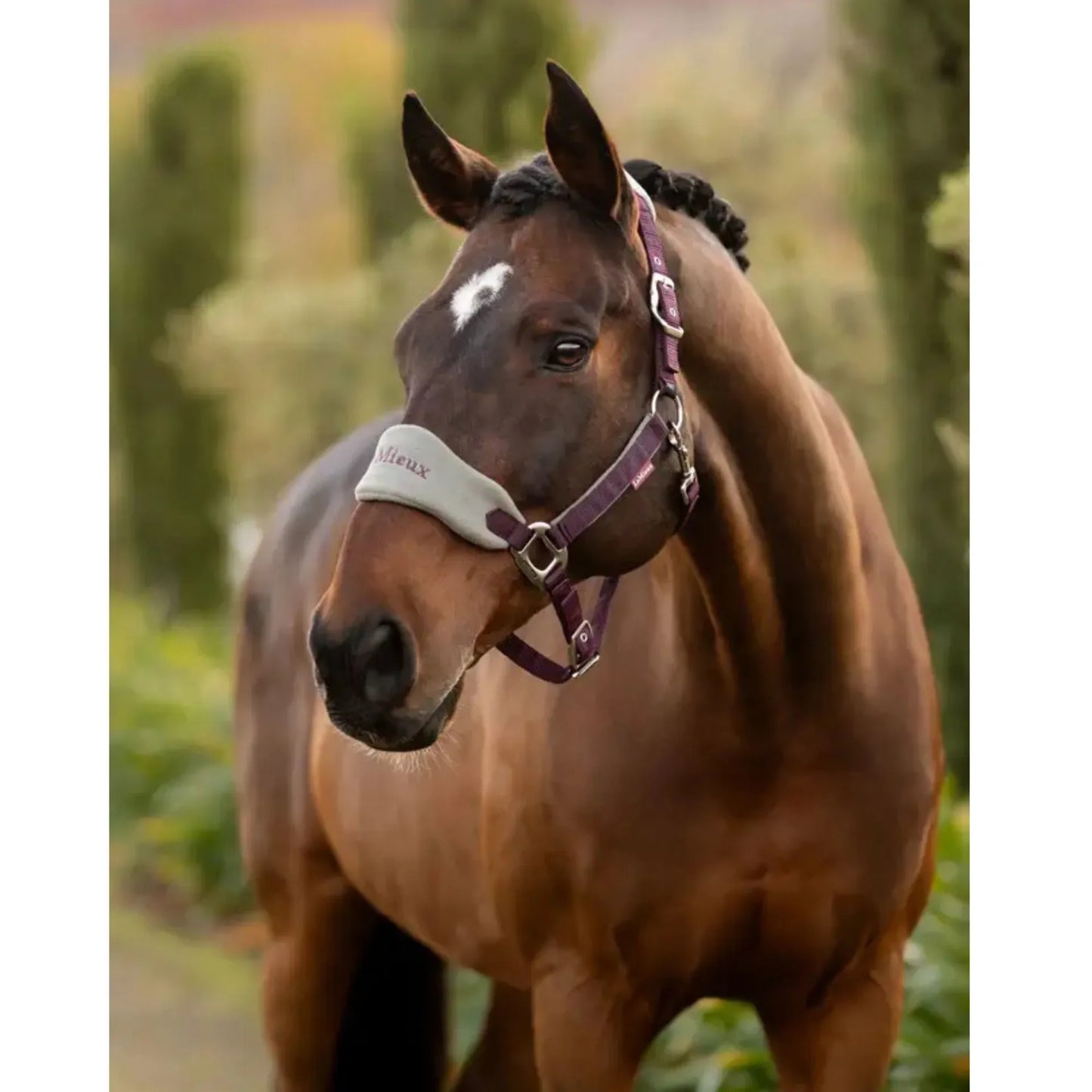 Lemieux Vogue Headcollar Set