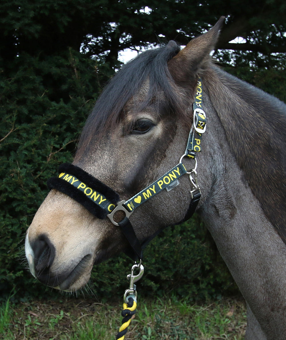 “I Love My Pony” logo. Headcollar