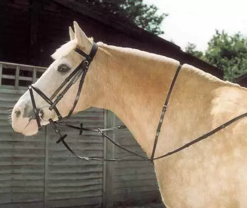 Windsor Equestrian Running Martingale