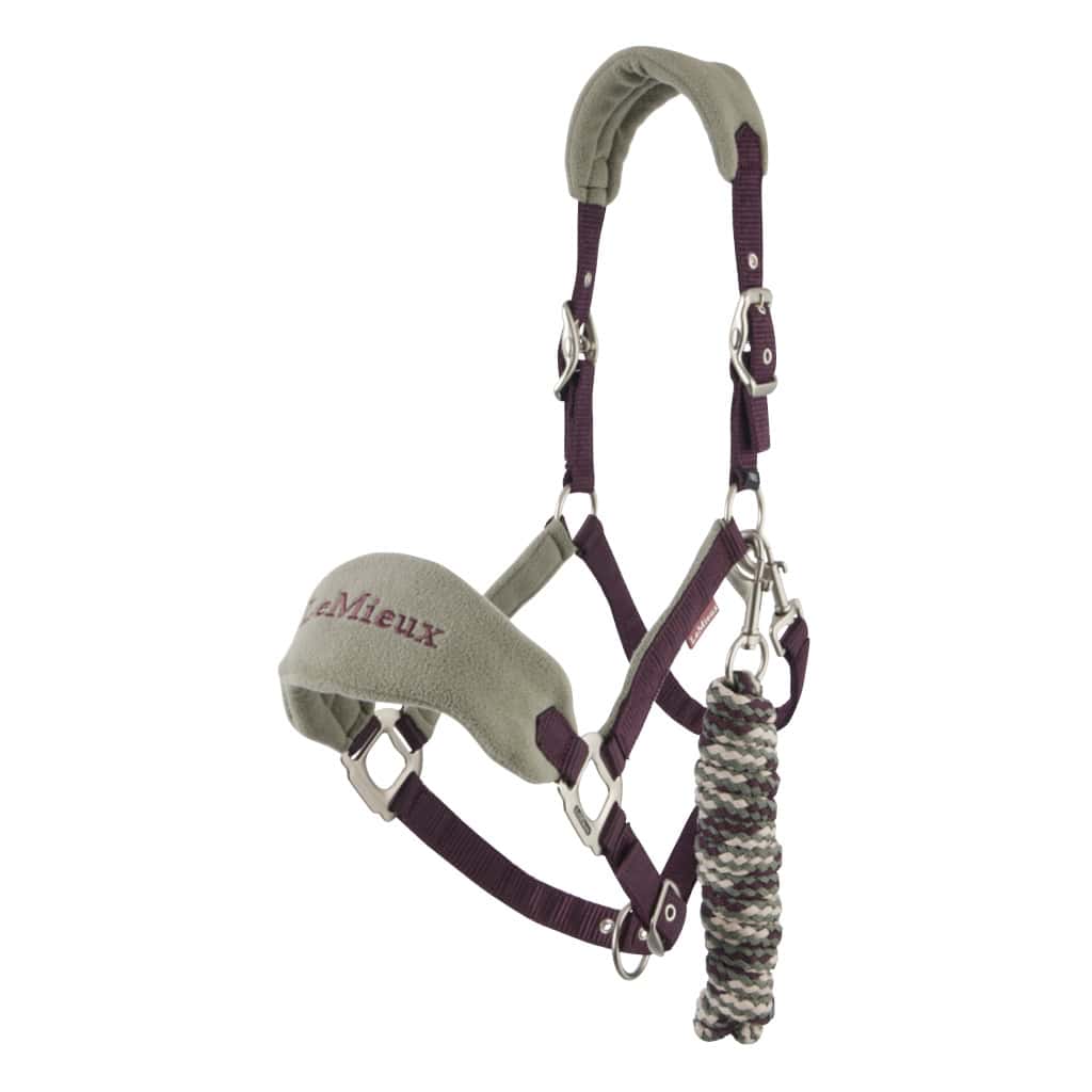 Lemieux Vogue Headcollar Set