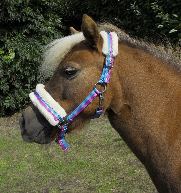 Rhinegold Bright Striped Fur Trim Small Pony Headcollar