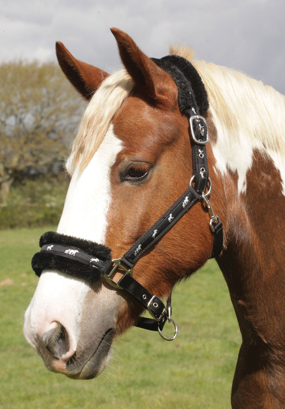 Horse Motif Headcollar