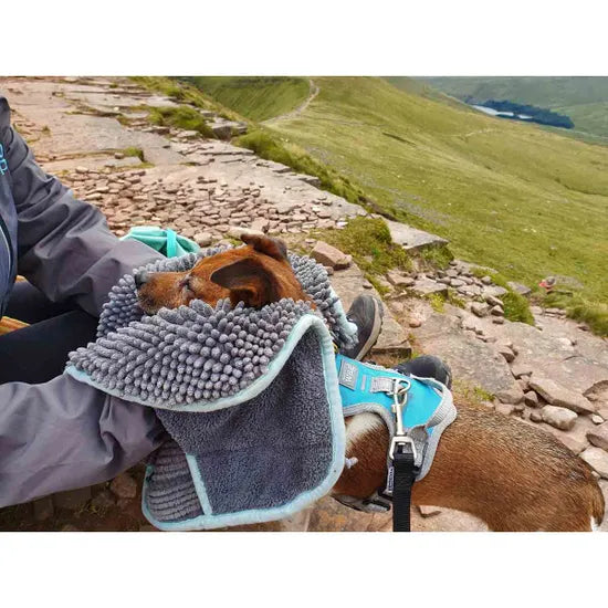 Henry Wag Noodle Glove Towel