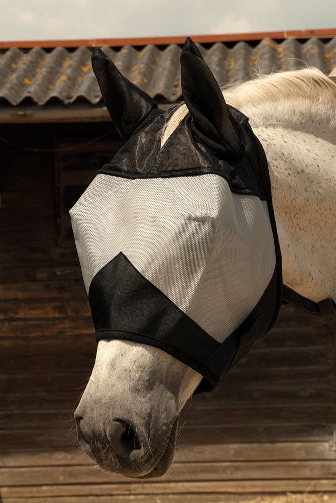 The Rhinegold fly mask with ear coverage