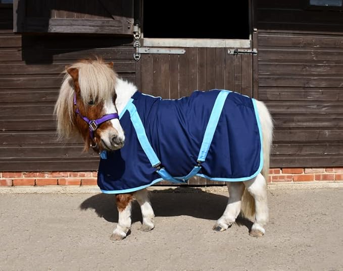 Rhinegold Cotton Summer Sheet