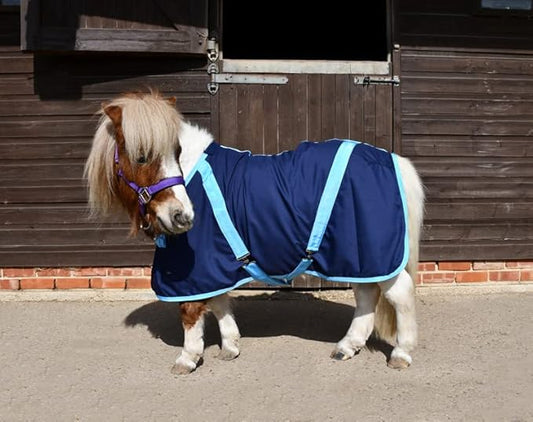 Rhinegold Cotton Summer Sheet