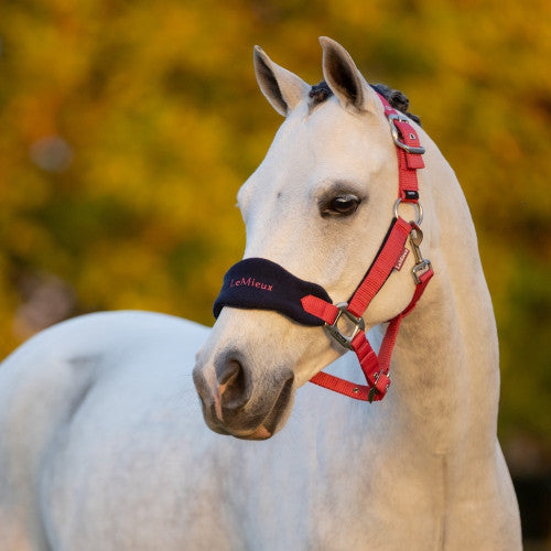 Mini LeMieux Vogue Headcollar