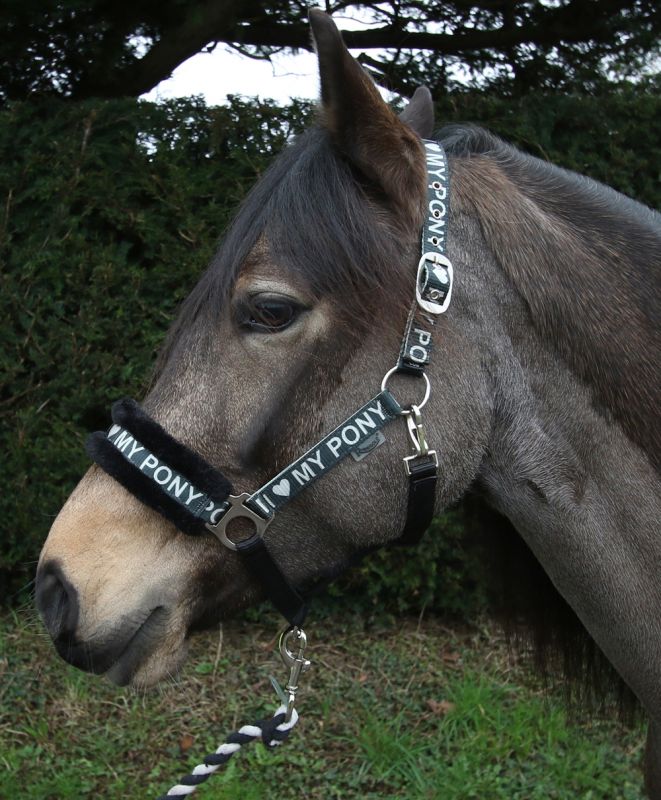 “I Love My Pony” logo. Headcollar