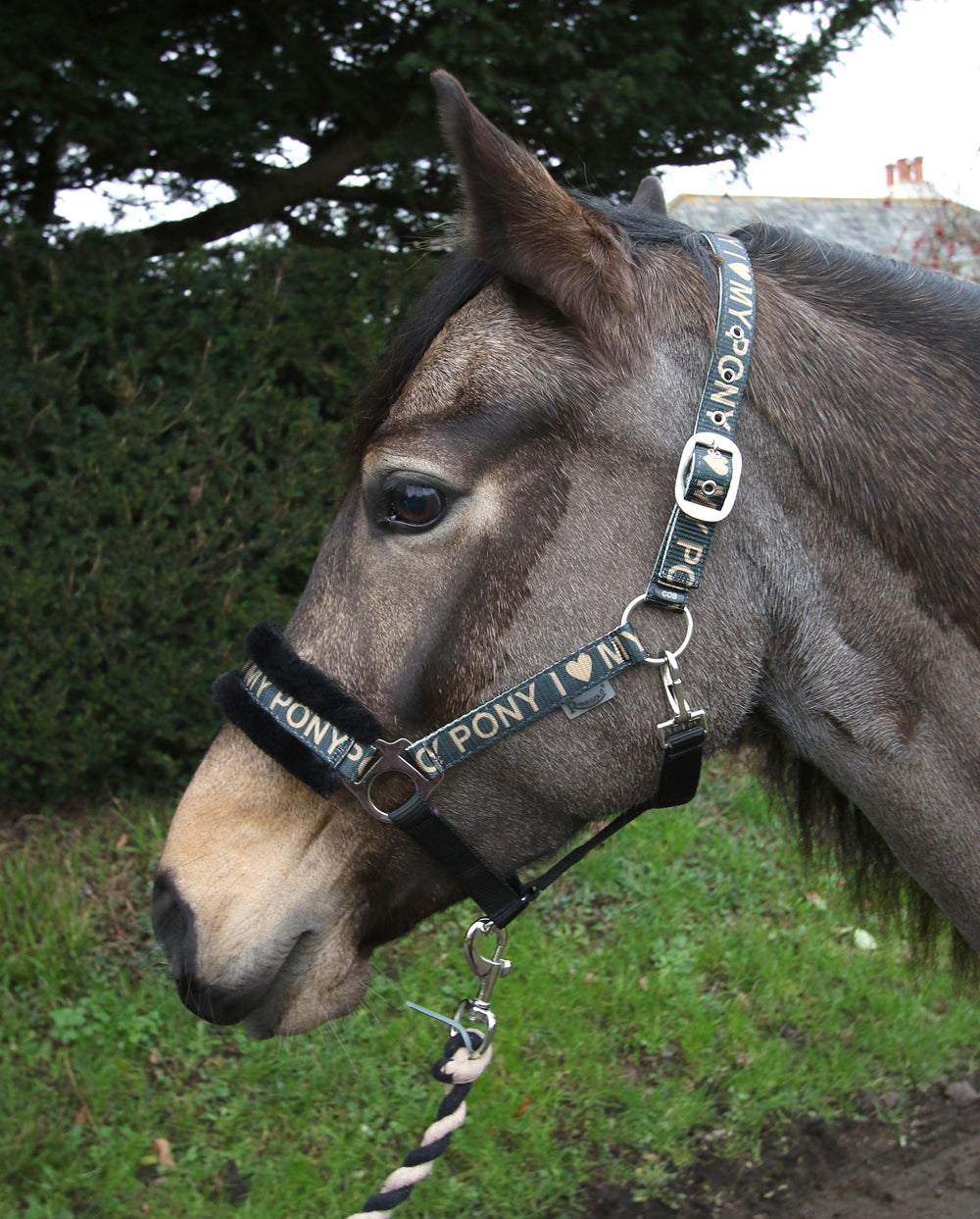 “I Love My Pony” logo. Headcollar