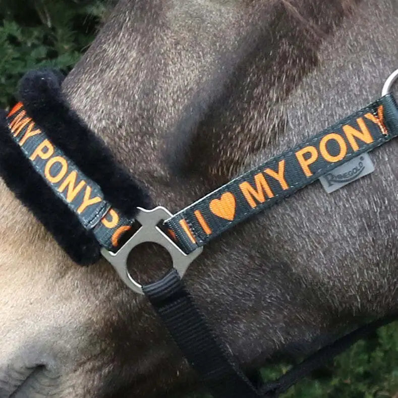 “I Love My Pony” logo. Headcollar