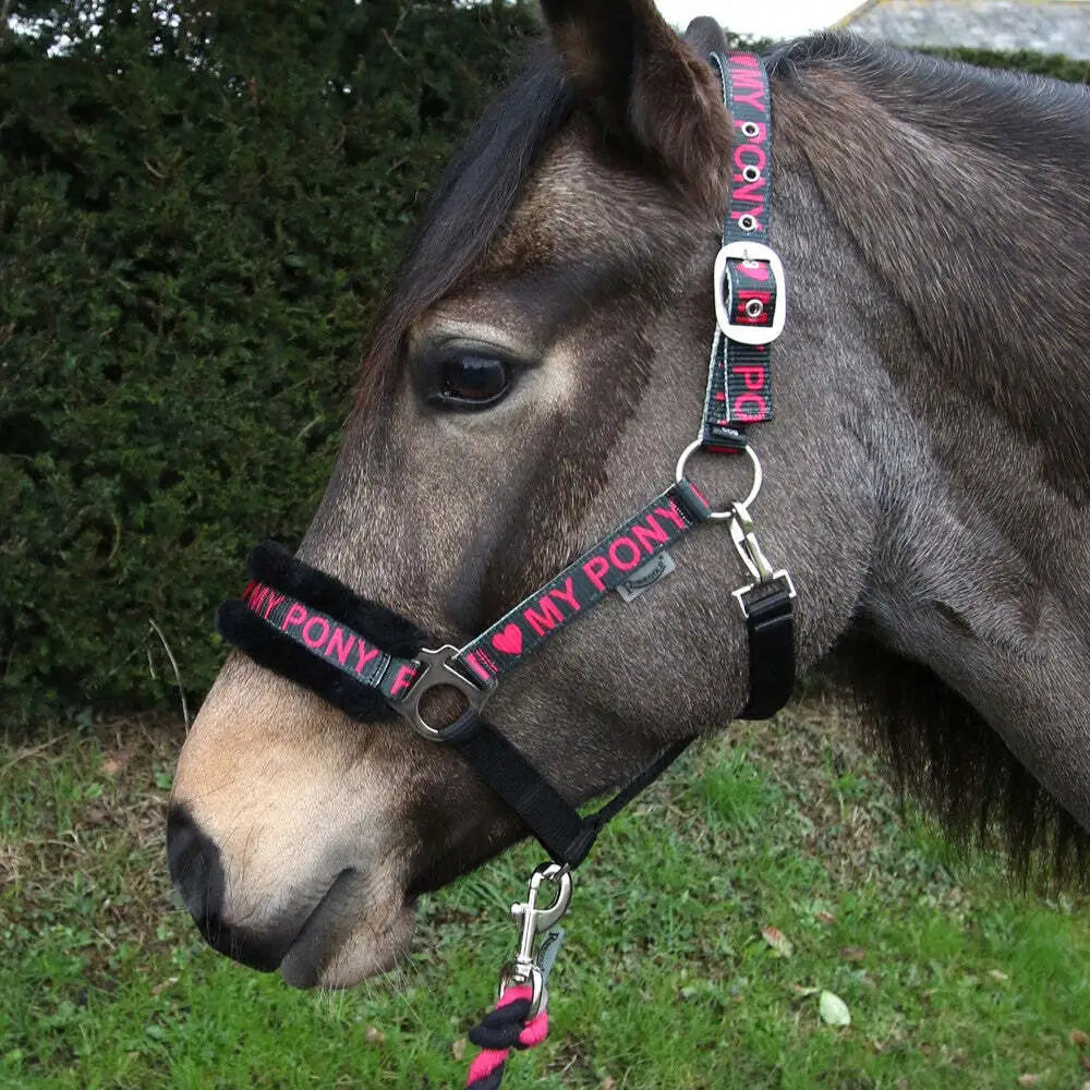 “I Love My Pony” logo. Headcollar