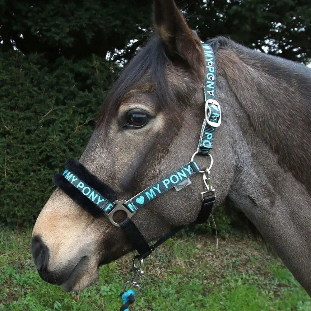 “I Love My Pony” logo. Headcollar