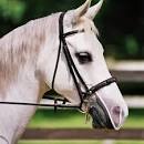 Aerborn White Nose Shield